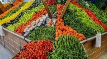 أسعار الطماطم والخضروات والفواكه في كفر الشيخ الخميس 23 أكتوبر 2025: تفاصيل التغيرات وتأثيرها على المستهلك